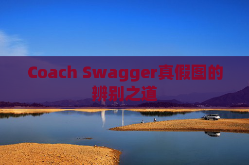 Coach Swagger真假图的辨别之道 Coach Swagger真假图的辨别之道